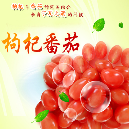 枸杞app官方客户端宁夏电视台红枸杞客户端-第1张图片-太平洋在线下载